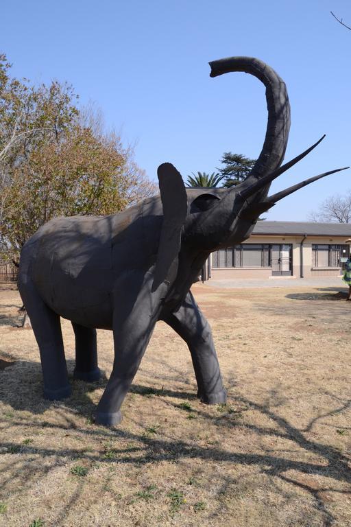 Elephant Lodge Guesthouse Vanderbijlpark Exterior photo