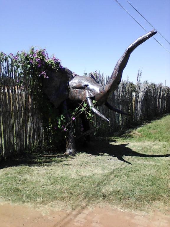 Elephant Lodge Guesthouse Vanderbijlpark Exterior photo